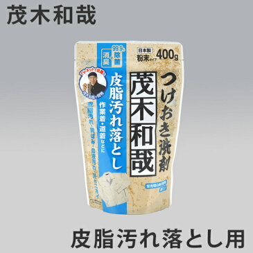 洗剤 茂木和哉 皮脂汚れ落とし つけおき洗剤 粉末 400g （ 洗濯 用 洗剤 黄ばみ 落とし つけ置き 皮脂汚れ 衣類用 粉末洗剤 汚れ落とし 脂汚れ 黄ばみ 作業着 ワイシャツ 生乾き臭 ）【4500円以上送料無料】