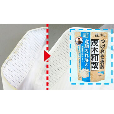 洗剤 茂木和哉 皮脂汚れ落とし つけおき洗剤 粉末 400g ( 洗濯 用 洗剤 黄ばみ 落とし つけ置き 皮脂汚れ 衣類用 粉末洗剤 汚れ落とし 脂汚れ 黄ばみ 作業着 ワイシャツ 生乾き臭 )【4500円以上送料無料】
