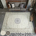 ラグ マイクロファイバー クラシックデザイン 200×200cm ( ラグマット カーペット 絨毯 マット フロアマット アクセントラグ 正方形 2.5畳 オールシーズン ホットカーペット 床暖 対応 インテリアマット 洗える すべり止め 柄 ) 【3980円以上送料無料】(3)