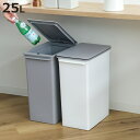 ゴミ箱 25L プッシュオープン ふた付き スリム ベーシックダスト ( ごみ箱 25リットル ワンタッチ プッシュ式 スタッキング 分別 シンプル 積み重ね ...