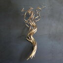 ドライフラワー CASTO COCO CURL ( 枝 枝物 インテリア 花材 ナチュラル おしゃれ オブジェ ディスプレイ 雑貨 植物 うねうね 枝もの 木の...