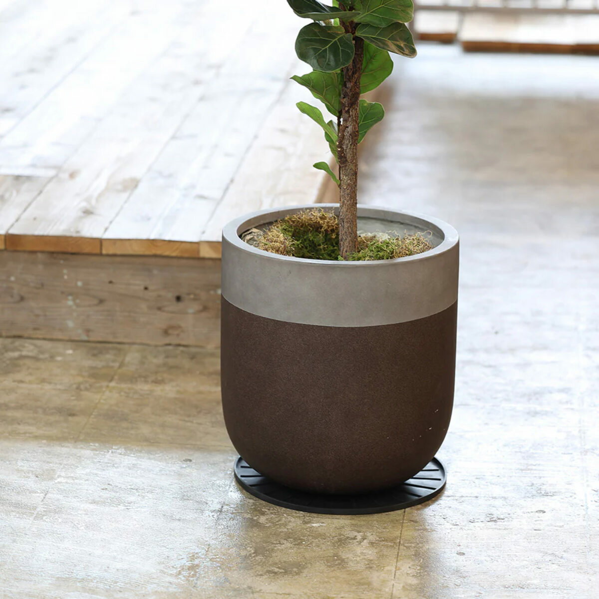 �ݥåȥޥå� ��������ݥå� 10 ľ��10cm �� ȭ ����ȭ ƫ��ȭ �ޥå� �������� ��С� ���� �ݸ� ���ߤ� �� �ȶ� ���ɻ� �ݸ�ޥå� �ץ�󥿡��ޥå� �ץ�󥿡� �ݷ� ¿����ʪ ���տ�ʪ ������� ������ �ˡ�3980�߰ʾ�����̵����