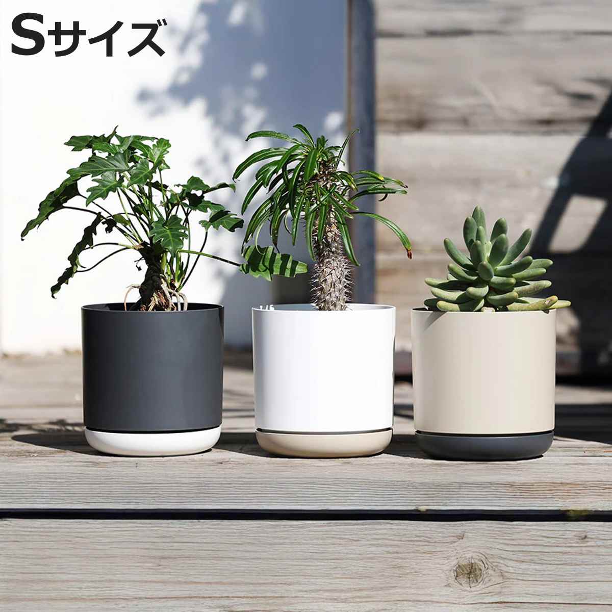 植木鉢 エスジーアイポット S 5号 受け皿付き （ フラワーポット プラントポット プランターポット 鉢 鉢植え インテリア 植え替え おしゃれ 観葉植物 多肉植物 サボテン 園芸 受け皿 水抜き穴 自動吸水 リサイクル 丸型 ）【3980円以上送料無料】