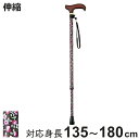 杖 伸縮 軽量 女性 おしゃれ ステッキ 花柄 アルミ製 黒 ( つえ ツエ 介護 歩行補助 外出 歩行関連用品 福祉 歩行関連 散歩 転倒防止 )【3980円...