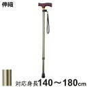 杖 ステッキ 伸縮杖 エコノミーステッキ アルミ製 太身 OT-002 ( つえ ツエ 一点杖 伸縮 長さ調節 軽量 介護 歩行補助 高齢者 シンプル 介護用品...