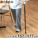 杖 折りたたみ エコノミーステッキ 折りたたみ杖 アルミ製 ( つえ ステッキ 軽量 折り畳み コンパクト 伸縮杖 長さ調節 介護用 高齢者 歩行補助 5段階調節 ストラップ付 介護用品 転倒防止 SGマーク 持ち運び リハビリ )【3980円以上送料無料】