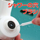 シャワーの穴ブラシ 掃除用ブラシ 10本入 ( シャワー 便器ノズル 穴掃除 ブラシ バス掃除 トイレ掃除 ) 【3980円以上送料無料】