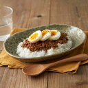カレー皿 23cm 楕円 緑釉 皿 食器 陶器 美濃焼 日本製 ( 食洗機対応 電子レンジ対応 オーバル パスタ皿 中皿 お皿 オーバルプレート カレーボウル ...