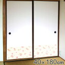 ツメ傷保護用シート ふすま用 40cmx180cm ペット 傷防止 猫 犬 貼ってはがせる ( 壁 ふすま 保護シート 爪とぎ ペット用品 傷 汚れ 防止 ひっ...