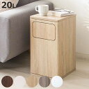 ゴミ箱 20L ウッドプッシュダストボックス Empro ( ごみ箱 エンプロー ダストボックス ごみばこ シンプル プッシュ式 天板 サイドテーブル 分別 幅25cm 20L 20リットル 20l 木目 ワンプッシュ おしゃれ )【3980円以上送料無料】(3)