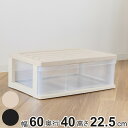 収納ケース ワイド収納ケース 1段 引き出し 約 高さ23 cm モノトーンカラー ( 収納ボックス 衣装ケース 衣類収納 クローゼット収納 プラスチック 押入...