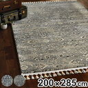 ラグ ウィルトン織り ニューアクアホーム 200×285cm ホットカーペット対応 ( 絨毯 マット ラグマット 長方形 床暖対応 床暖房対応 アクセントラグ 床暖 ホットカーペット 対応 インテリア エジプト製ラグ ボタニカル柄 )【3980円以上送料無料】