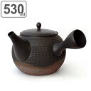 急須 530ml L 2代目玉光作 陶器 常滑焼 日本製 ( 送料無料 横手型急須 片手 茶こし一体型 お茶 ポット 常滑 茶器 茶こし 付き 付属 ストレーナ...