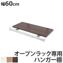 突っ張りオープンラック専用 追加ハンガー棚 幅60cm用 無段階調整 ( つっぱり 突っ張り ラック 突っ張りラック つっぱりラック 天井つっぱり 伸縮 収納 ...