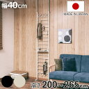 突っ張り ラダーラック 幅40cm フック3個 棚板1枚付き カールデザイン ( 壁面収納 ウォールラック つっぱり 突っ張り式 ラック フック付 壁面 収納 ...