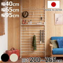 突っ張り ラダーラック 幅40cm 幅65cm 幅95cm フック付き 棚板1枚付き カールデザイン ( 壁面収納 ウォールラック つっぱり 突っ張り式 ラック...