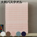 バスタオル Hotel Type 大判バスタオル 70×140cm ( タオル 大判 大きめ ホテル仕様 高級感 綿100% 吸水 タオルケット 無地 大判サイ...