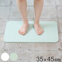 &NE バスマット ラバストーン コンパクト 35×45cm 速乾 ( お風呂マット 足拭きマット お風呂 ラバストーン Lava 吸水 調湿 ラヴァストーン ...