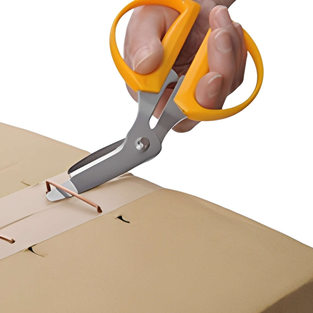 ハサミ ダンボール用 はさみ 開梱 日本製 ( 関の刃物 ステンレス刃 切る テープ 段ボール 止め金 鋏 カッター 文具 文房具 ステーショナリー カット 事...