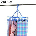 洗濯ハンガー スライド丸ハンガー ピンチ24個付 ( ピンチハンガー スライド 丸ハンガー 小物干し 隠し干し 洗濯物干し スライド式 洗濯バサミ ピンチ 24...