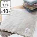 【先着】最大400円OFFクーポン有！ ミニタオル 25×25cm 綿雪のようなタオル ベルベットカラー （ タオル ハンカチタオル ハンドタオル タオルハンカチ ハンカチ 綿 コットン 吸水 高吸水 速乾 汗拭き おしぼり 持ち歩き よだれ拭き 手洗い ） 【3980円以上送料無料】