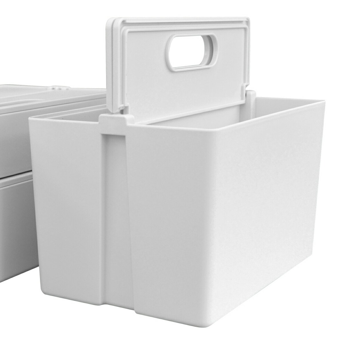 収納ボックス かるコン レギュラー フタ付き プラスチック 小物収納 ( 白 ホワイト クリア 収納 ケース ボックス 小物収納ケース 持ち手付き おしゃれ 小...