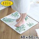 バスマット 乾度良好 パームリーフ 48×60cm ( 風呂マット お風呂マット 足ふきマット 足拭きマット 浴室マット 速乾 吸水 抗菌 防臭 滑り止め 日本...