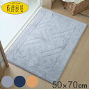 バスマット 乾度良好 リッカ 50×70cm 大判 速乾 ( お風呂マット 足拭きマット お風呂 バスグッズ 浴室マット 玄関マット 吸水 抗菌 防臭 洗濯OK...