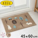 バスマット 乾度良好 45×60cm 速乾 ( お風呂マット マット 吸水 抗菌 防臭 洗濯OK 足ふきマット 45×60 デイジー お風呂 バスグッズ 浴室 ...