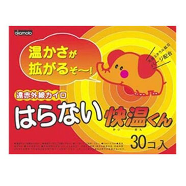 使い捨てカイロ　貼らない　快温くん　30×8箱セット　送料無料 【4500円以上送料無料】