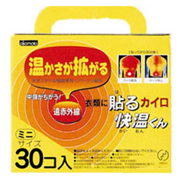 使い捨てカイロ　貼る　快温くん　ミニ　30個×16箱セット　送料無料 【4500円以上送料無料】