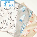 ふきん 同柄3枚セット MOOMIN マイクロファイバーふきん ( 布巾 フキン 台拭き 食器拭き キッチンクロス テーブル布巾 マイクロファイバー 吸水 抗菌...