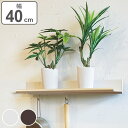 ラインシェルフ 飾り棚 フック付 幅40cm ディスプレイ棚 ( ウォールシェルフ 壁面ラック 棚 壁掛け 壁面 ウォールラック シェルフ ラック ディスプレイラック ディスプレイ 収納 吊るす キッチンツール 目立たない ) 【3980円以上送料無料】