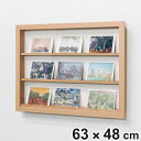 コレクションケース 62.9×47.9cm 壁掛け カバー扉 カード コイン 収納 L408 ( カードケース ケース アクリル ボックス ディスプレイ 保管 ...