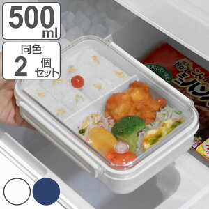 お弁当箱 1段 まるごと冷凍弁当 500ml 2個セット タイトボックス （ 弁当箱 作り置き レンジ対応 食洗機対応 冷凍 一段 仕切り付き 保存容器 レンジOK 食洗機OK 作りおき お弁当 弁当 保存 容器 日本製 シンプル ） 【3980円以上送料無料】