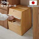 米びつ 30kg KIRISAI 桐のこめ櫃 ( 桐 天然木 日本製 調湿 一合升付き キャスター付き 米櫃 ライスストッカー 保存容器 米 お米 収納 保存 ...
