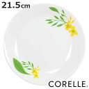 v[g 21.5cm CORELLE m[uCG[ KX i R[ H@Ή dqWΉ I[uΉ ϔM M M ێM M M fU[gv[g T_ P[L fU[g p mH  ɂ  jy3980~ȏ㑗z