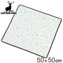 レジャーシート 50×50cm クッションシート ブランシュ キャプテンスタッグ ( CAPTAIN STAG クッション シート レジャーマット レジャークッ...