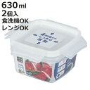 保存容器 ネオキープロック 正方形 L 2個組 ( 容器 フードケース 630ml 電子レンジ対応 冷凍OK 食洗機対応 4点ロック パッキン一体型 日本製 フ...