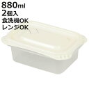 保存容器 880ml Easy Pack 長方形 L 2個組 ( 容器 フードケース 電子レンジ 冷凍ご飯容器 冷凍保存 食洗機対応 電子レンジ対応 日本製 蒸...