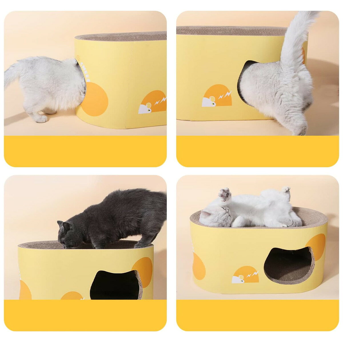 �ڥåȥϥ��� cheese �����˷�ϥ��� �ޤȤ� ǭ �� �޸��� �Ĥ�Ȥ� ǭ�� �ޤȤ��ϥ��� ����ܡ��� ���ȥ쥹��� ͷ�� ������� ���襤�� ���᤭ ���ꥬ�� Ĺ���� �ϥ��� ���� �ͤ� ǭ���� �ڥå����� ������� �ˡ�3980�߰ʾ�����̵����