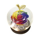 テーブルランプ LEDレインボーグラスドーム プリザーブドフラワー ( 薔薇 バラ お花 花 LEDライト ガラスドーム フラワー 記念日 ギフト 贈り物 母の...