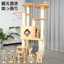 キャットタワー ねこぞく 木製 据え置き 突っ張り ( キャットツリー 猫タワー 爪とぎ キャットハウス おしゃれ 天然木 つっぱり 省スペース 猫 ねこ 猫用...