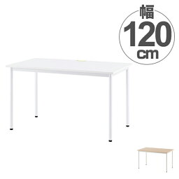 【法人限定】 ワークテーブル オフィスデスク 配線穴付 シンプルデザイン 幅120cm （ 送料無料 ワークデスク デスク テーブル 机 オフィス家具 パソコンデスク PCデスク 書斎 SOHO 平机 事務用 事務机 引き出しなし ） 【3980円以上送料無料】