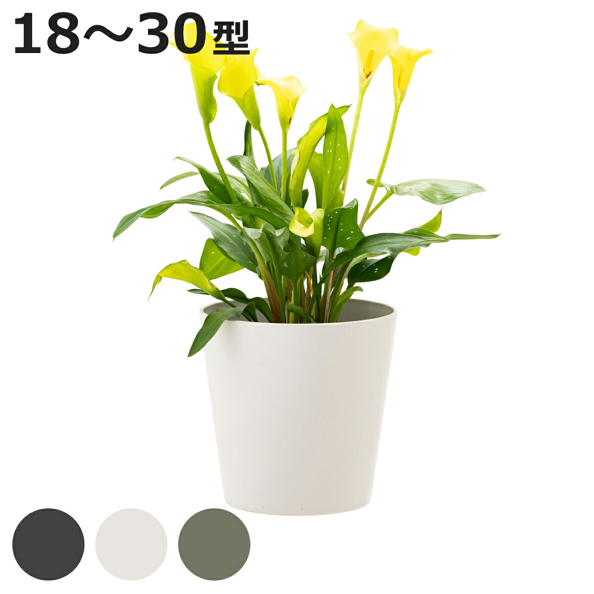 鉢植え プランター ドゥーロ ポット 18型～30型 （ 植木鉢 観葉植物 鉢 園芸鉢 ガーデンポット 鉢カバー ガーデニング 植物 花木 果樹 おしゃれ プラスチック鉢 深型 軽量 割れにくい 日本製 水抜き穴付き 底穴付き シンプルモダン ）【3980円以上送料無料】 colorfulbox-10208296 お弁当グッズのカラフルボックス パッケージ画像
