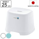 風呂椅子 シンプルトーン 座面高さ 25cm 日本製 ( 風呂いす お風呂 腰かけ イス 座面高25 入浴 抗菌 抗菌加工 銀イオン バスグッズ 椅子 ホワイト...
