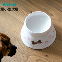 フードボウル こぼれにくい 脚付ドッグディッシュ SS ( リッチェル ペットボウル 脚付き 高さがある 犬 超小型犬 ペット用 餌皿 エサ皿 食べやすい ペッ...