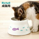 フードボウル こぼれにくい 脚付キャットディッシュ S ( リッチェル ペットボウル 脚付き 高さがある 猫 成猫用 ペット用 餌皿 エサ皿 食べやすい ペット...