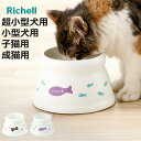 フードボウル こぼれにくい 脚付ドッグディッシュ 犬 猫 ( リッチェル ペットボウル 脚付き 高さがある 超小型犬 子猫 餌皿 エサ皿 食べやすい 成猫 ペッ...