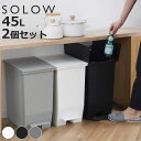 【レビュー特典付き】 ゴミ箱 45L SOLOW 同色2個セット ペダルオープンスリム （ ごみ箱 45リットル ソロウ 同色 2個 ペダル式 ふた付き 両開き 分別 棚下 スリム キッチン カウンター下 角型 高さ揃う シンプル おしゃれ ）【3980円以上送料無料】